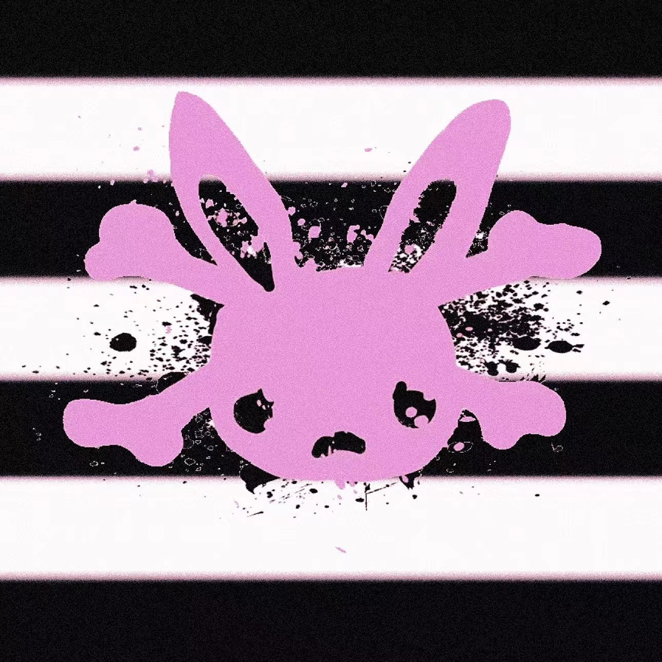 Rabbit Year Collection – CFierce