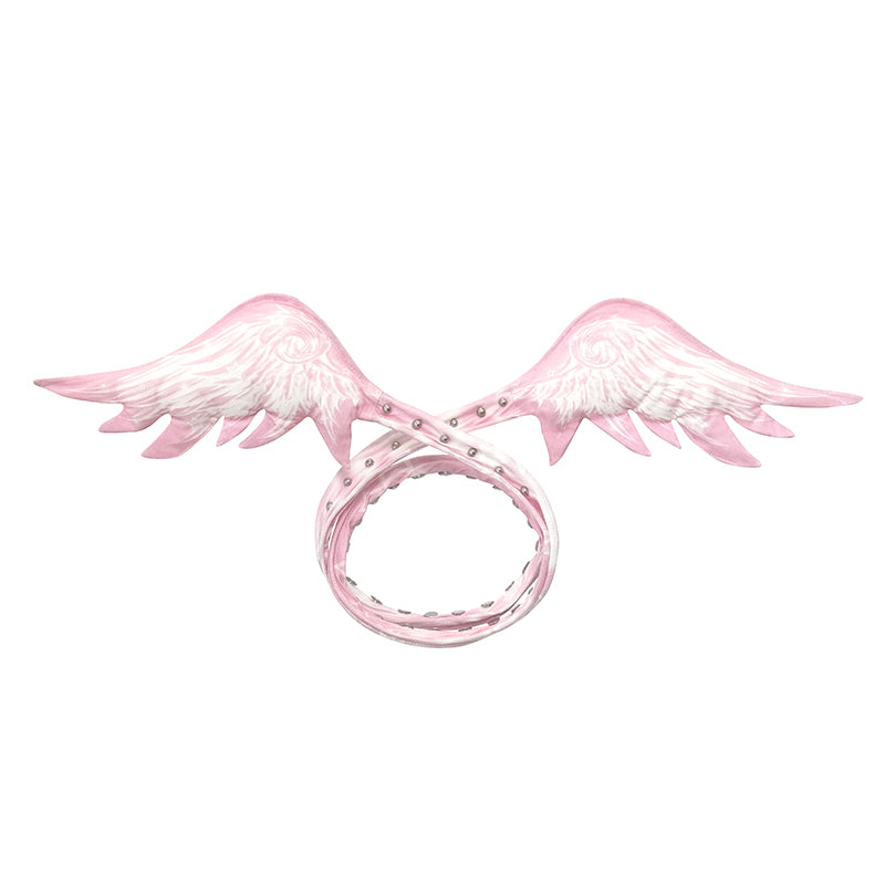 MULTI-WAYS ANGEL WINGS