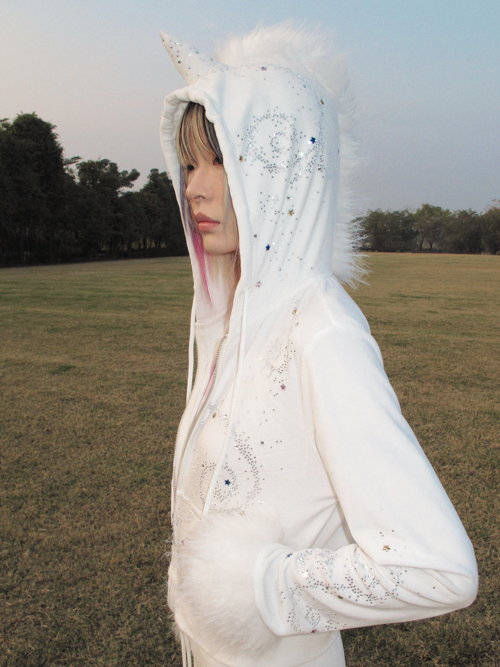 UNICOIN VELVET HOODIE