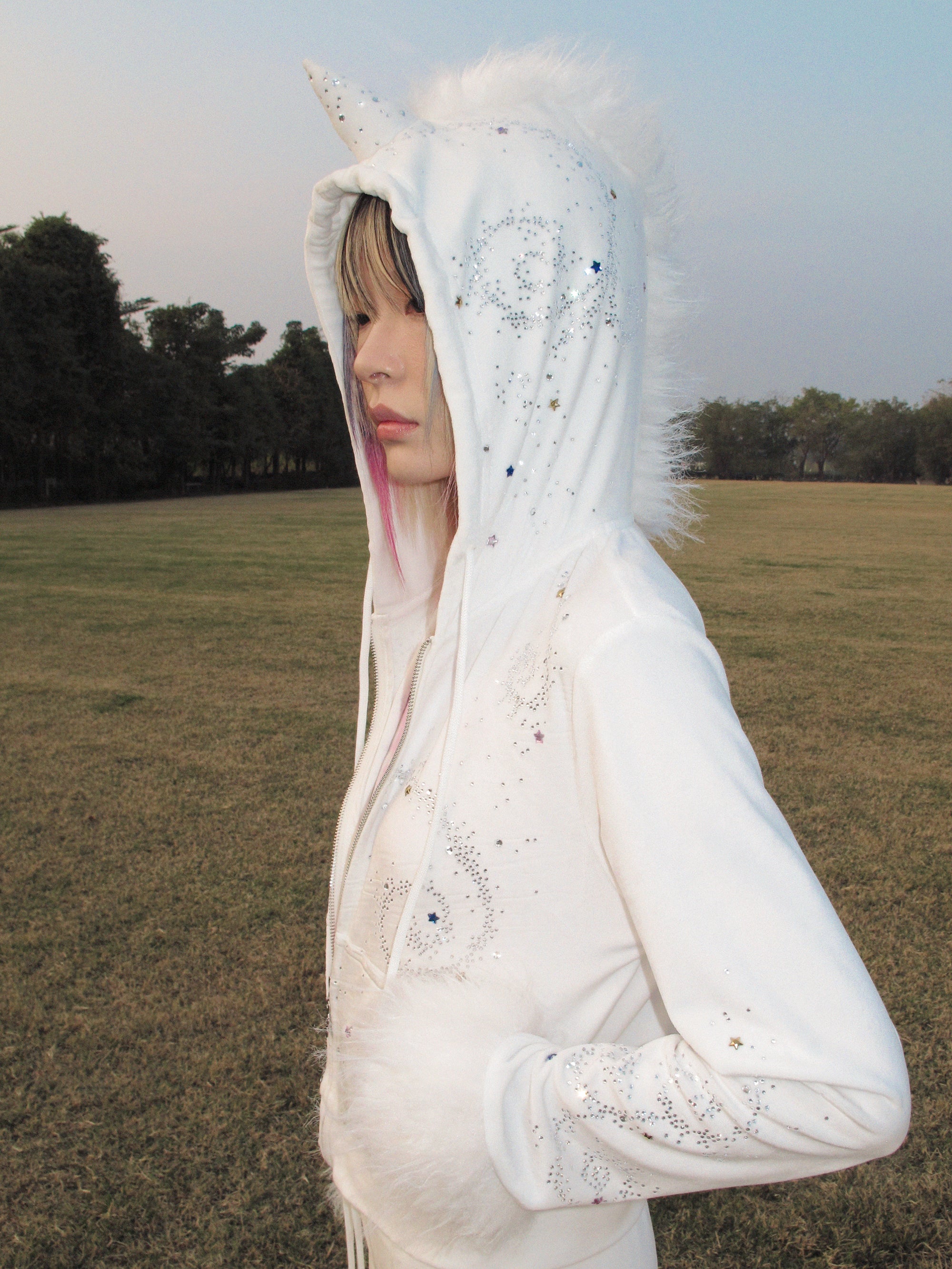 UNICOIN VELVET HOODIE