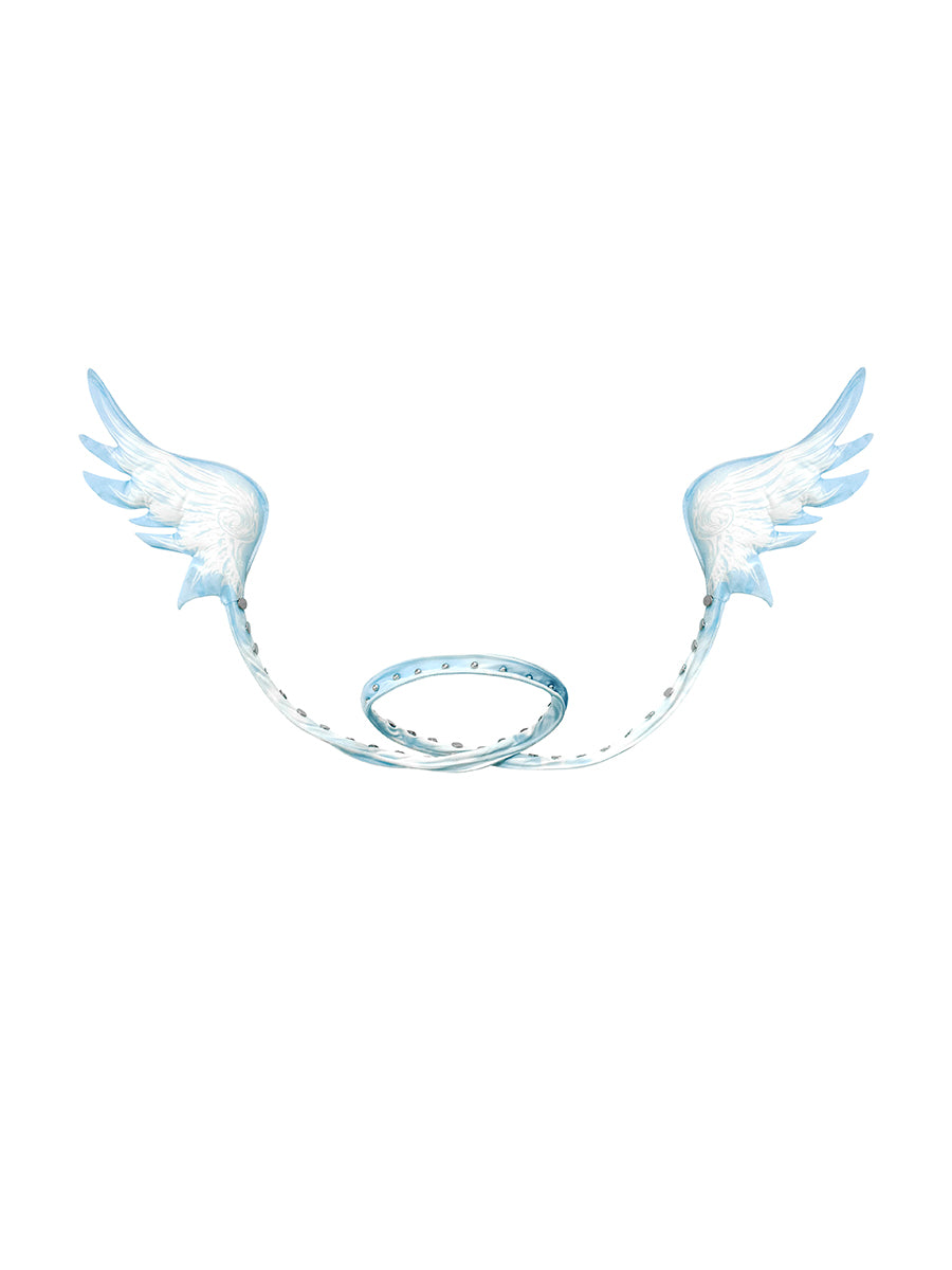 MULTI-WAYS ANGEL WINGS