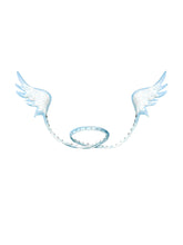 Load image into Gallery viewer, MULTI-WAYS ANGEL WINGS
