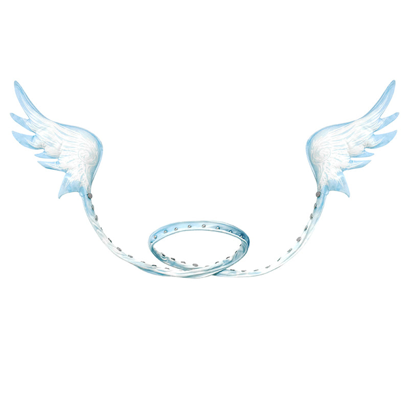 MULTI-WAYS ANGEL WINGS